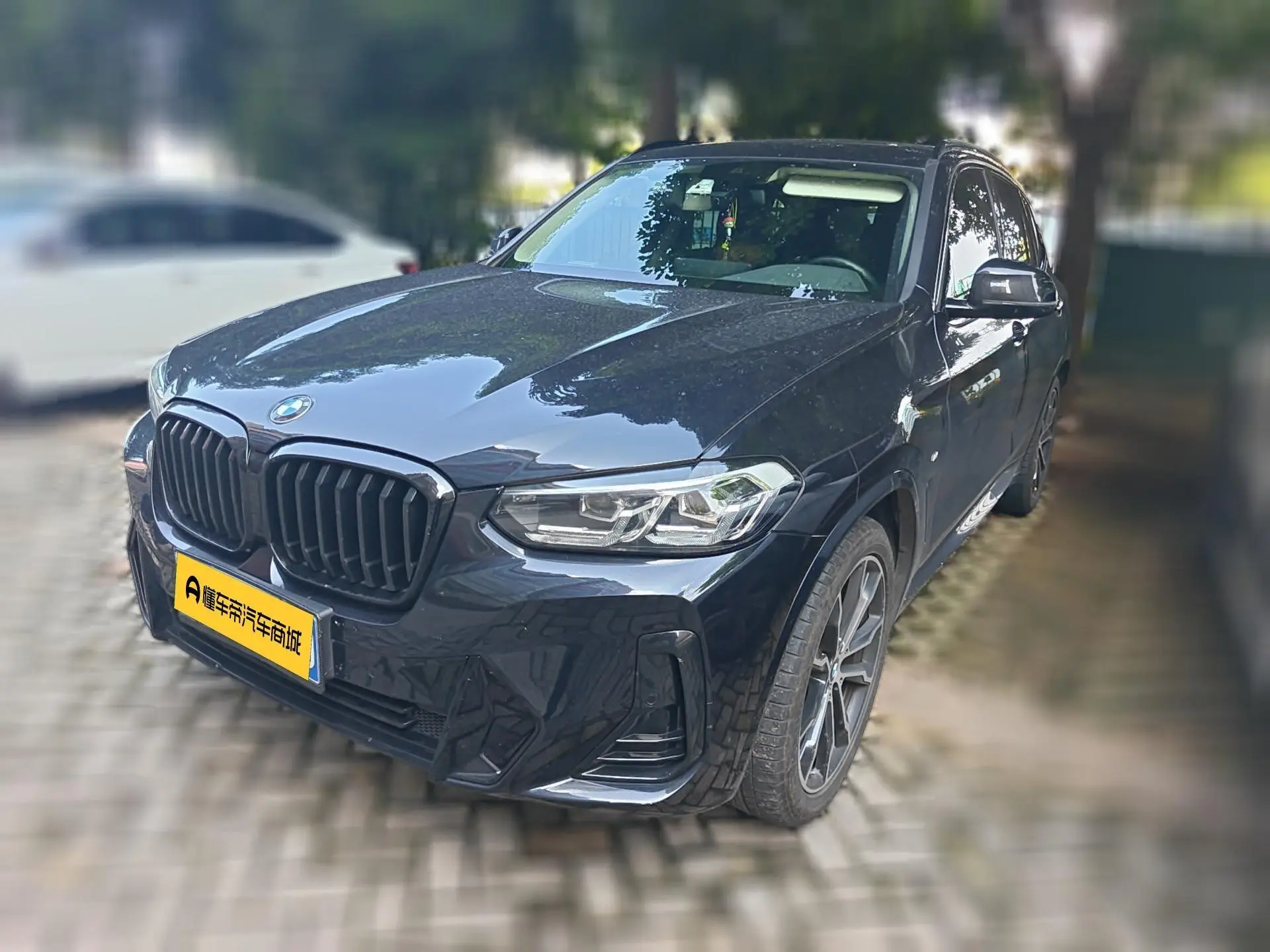 BMW BMW X3 xDrive30i Leading M Yao Ye Set