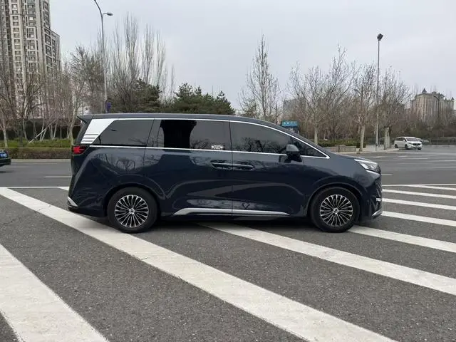 Denza Denza D9 DM 970 four-wheel drive flagship