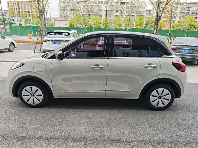 Wuling Wuling Bingguo 333KM Yuexiang model