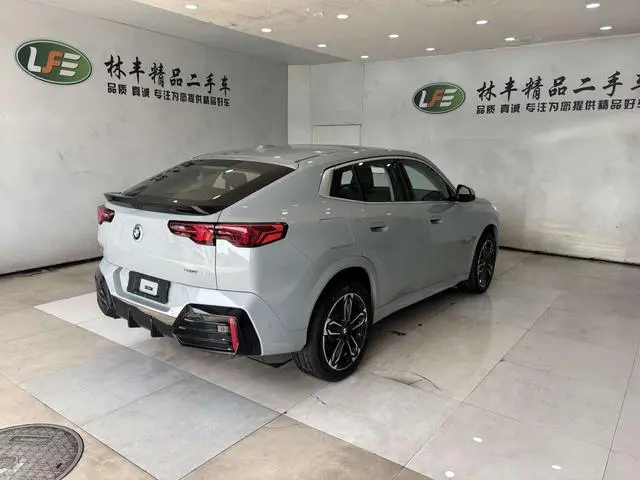 BMW BMW X2 (imported) sDrive25i M sports suit