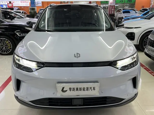 Leapmotor Zero run C11 Executive Edition 510