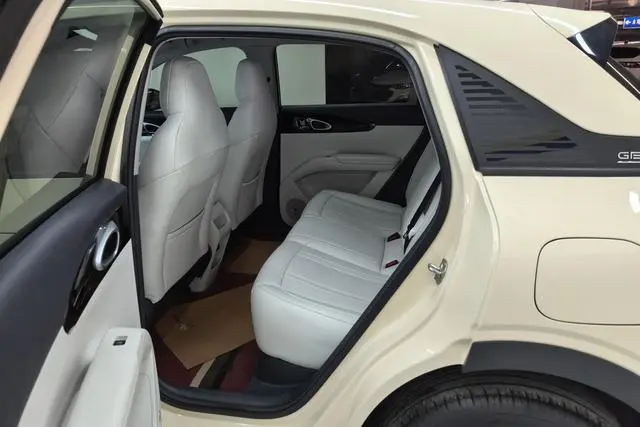 Geely Galaxy Star Wish 310km Dream Edition