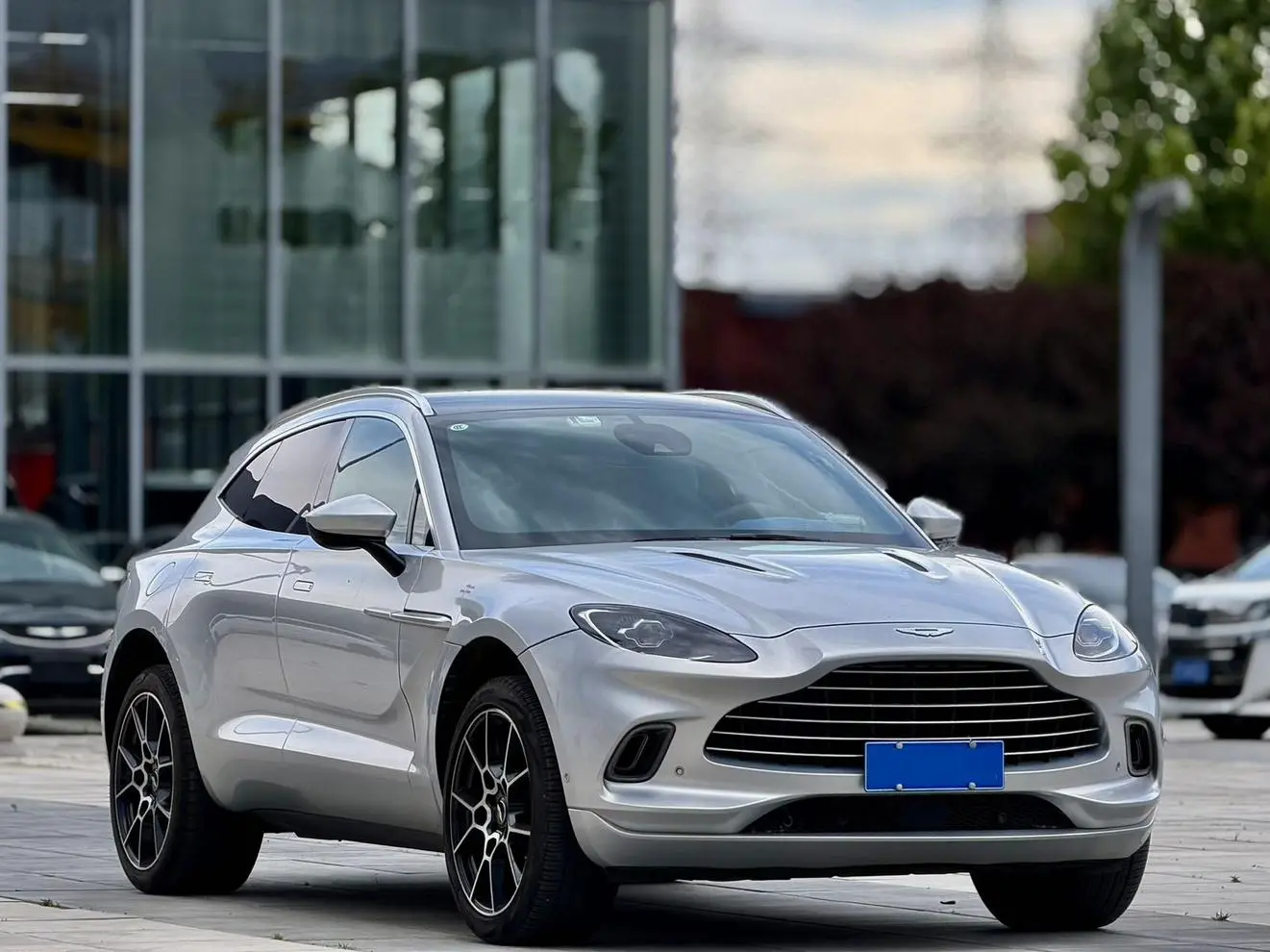 Aston Martin Aston Martin DBX 4.0T V8 Silk Road Zhihong