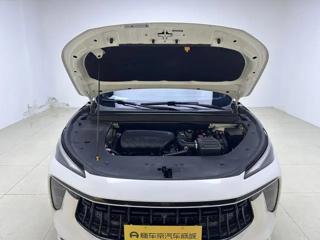 Dongfeng Fengxing Popular T5 EVO 1.5TD DCT Xingyao Edition