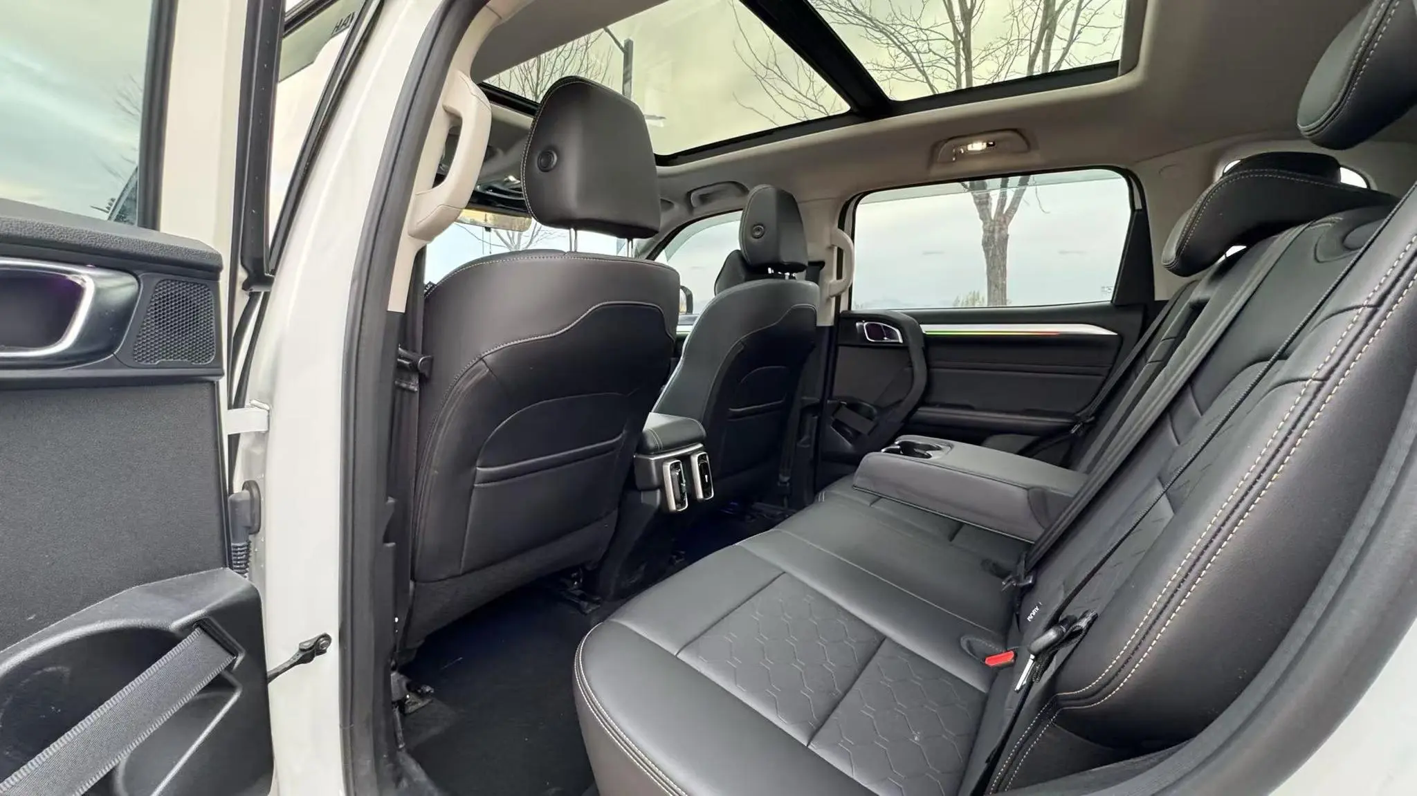 Haval Haval Big Dog 1.5T two-wheel drive side shepherd version