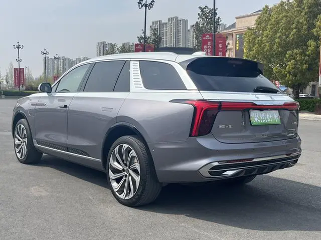 Hongqi Hongqi E-HS9 510km flag collar version four seats