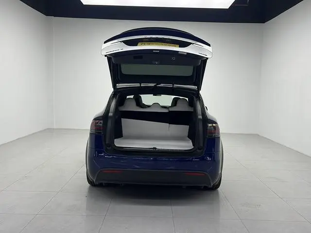 Tesla Model X 100D long battery life version