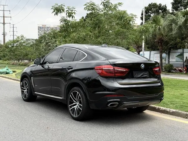 BMW BMW X6 xDrive35i Luxury