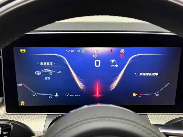 Hongqi Hongqi H9 3.0T Zhilian flag collar four-seater version