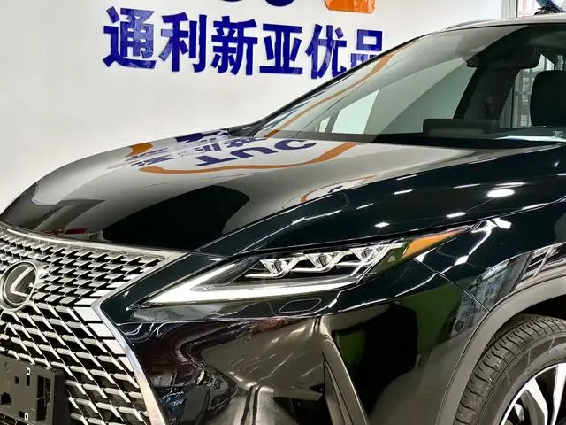 Lexus Lexus RX 300 four-wheel drive Special Edition