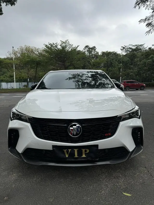 Buick Weilang Pro GS Hunting Wind Edition
