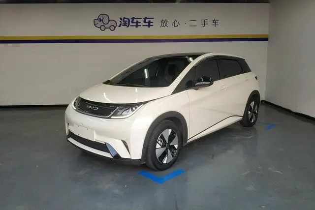 BYD dolphin Fashion edition