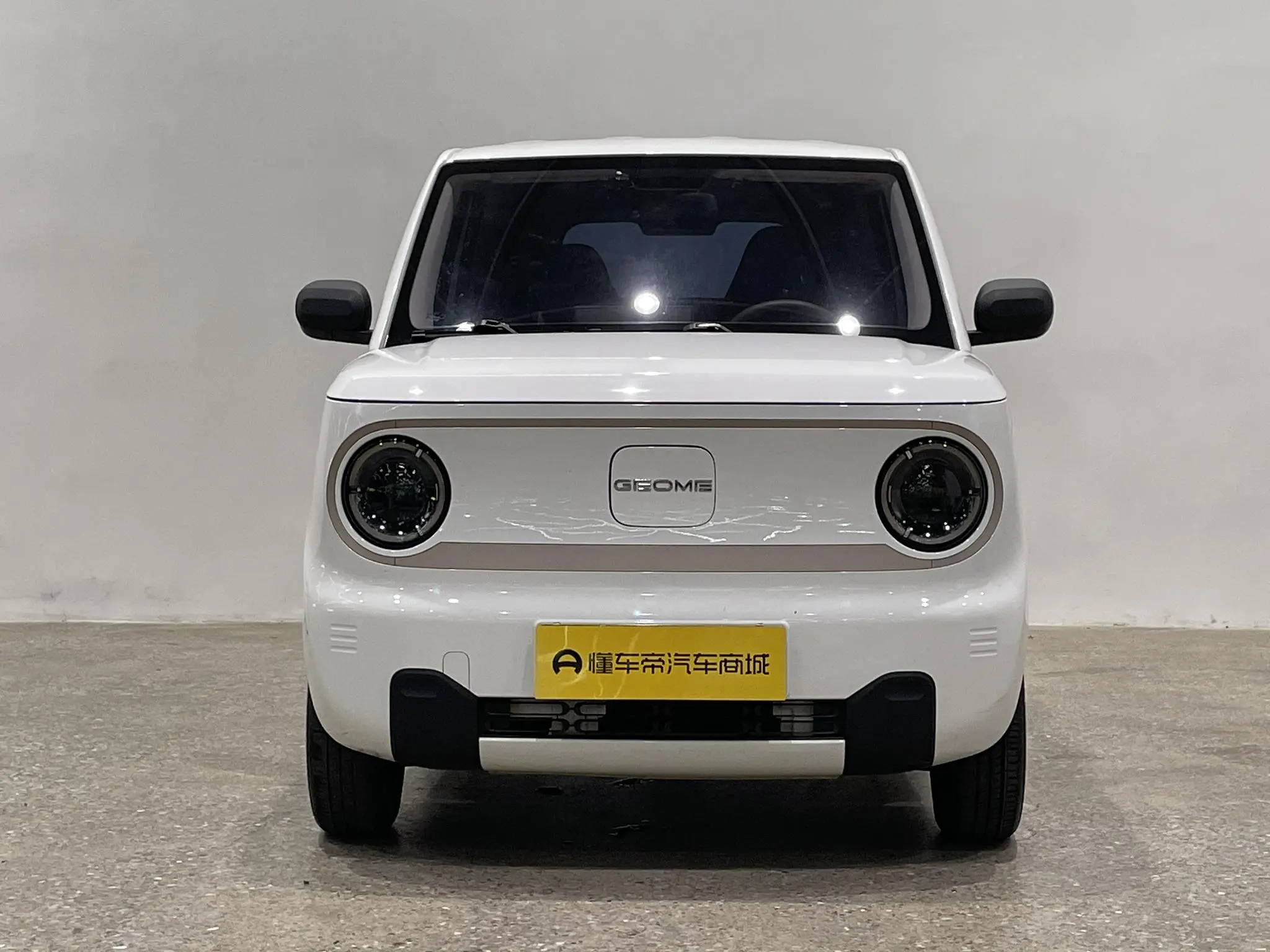 Geely Galaxy panda 200km panda mini endurance bear
