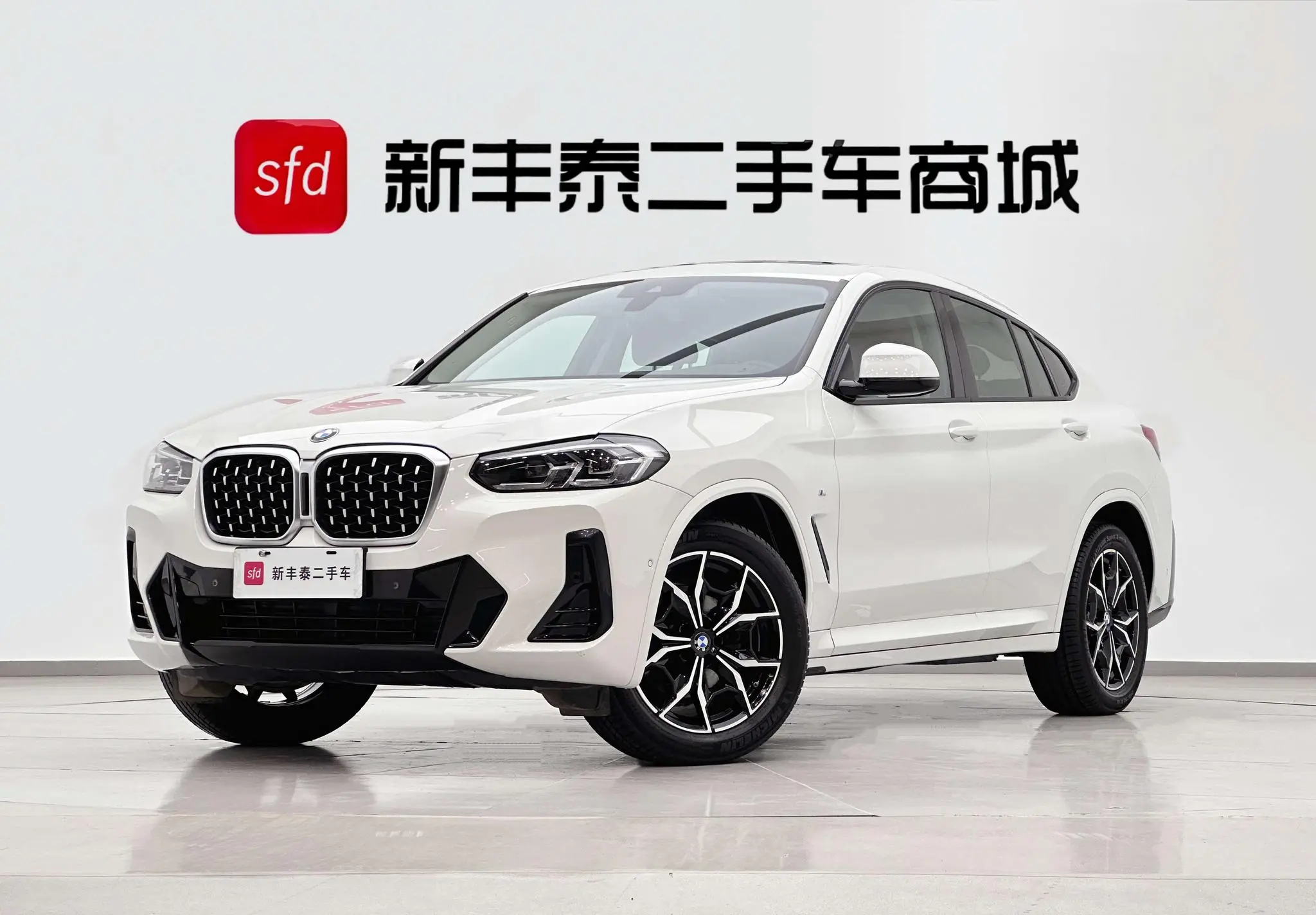 BMW BMW X4 xDrive 25i M sports suit