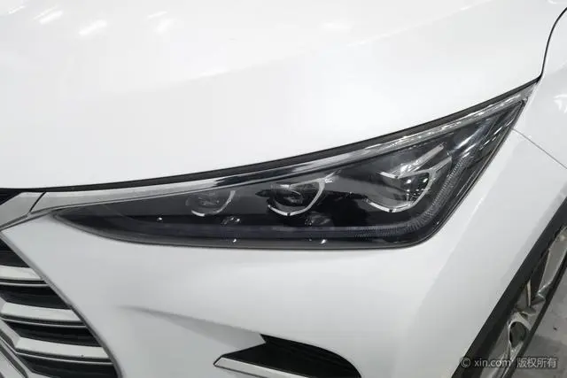 BYD Tang DM DM 2.0T full-time four-wheel drive Zhilian Chuangxiang type 7-seater country VI