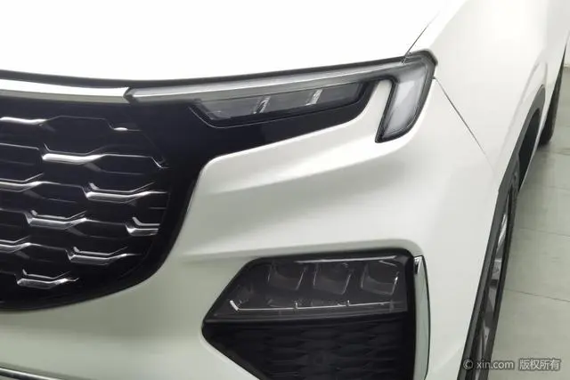 Ford Lingyu EcoBoost 225 6-seater premium collar type