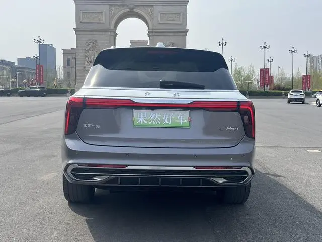 Hongqi Hongqi E-HS9 510km flag collar version four seats