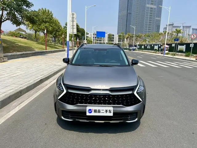 Kia Lion Platinum expands the world 2.0T two-wheel drive ultimate edition