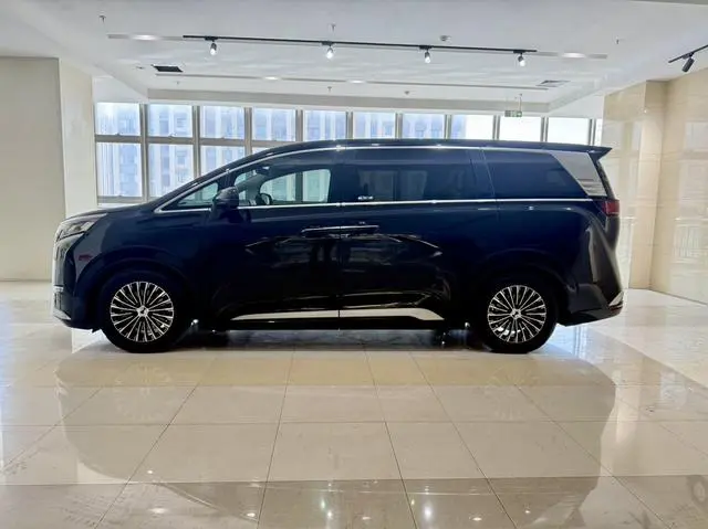 Denza Denza D9 DM 980 four-wheel drive honor type