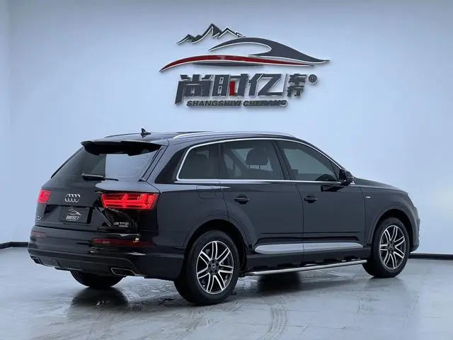 Audi Audi Q7 45 TFSI S line sporty