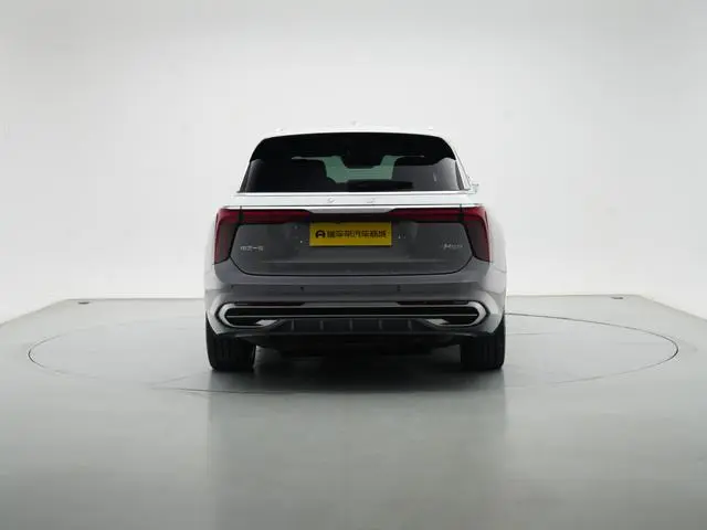 Hongqi Hongqi E-HS9 660km flag collar version four seats