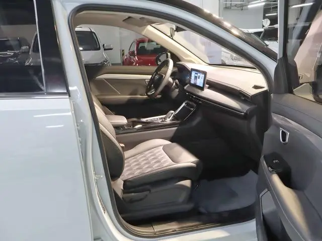 Wuling Wuling Xingchen 2.0L DHT electric speed model