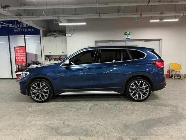 BMW BMW X1 xDrive25Li Exclusive type