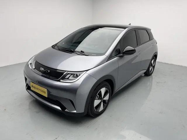 BYD dolphin Fashion edition