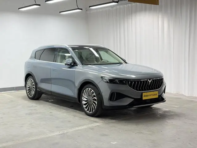 VOYAH Lan Tu FREE Four-wheel drive standard range extension exclusive luxury set