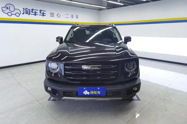Haval Haval Big Dog 1.5T two-wheel drive horse and dog version