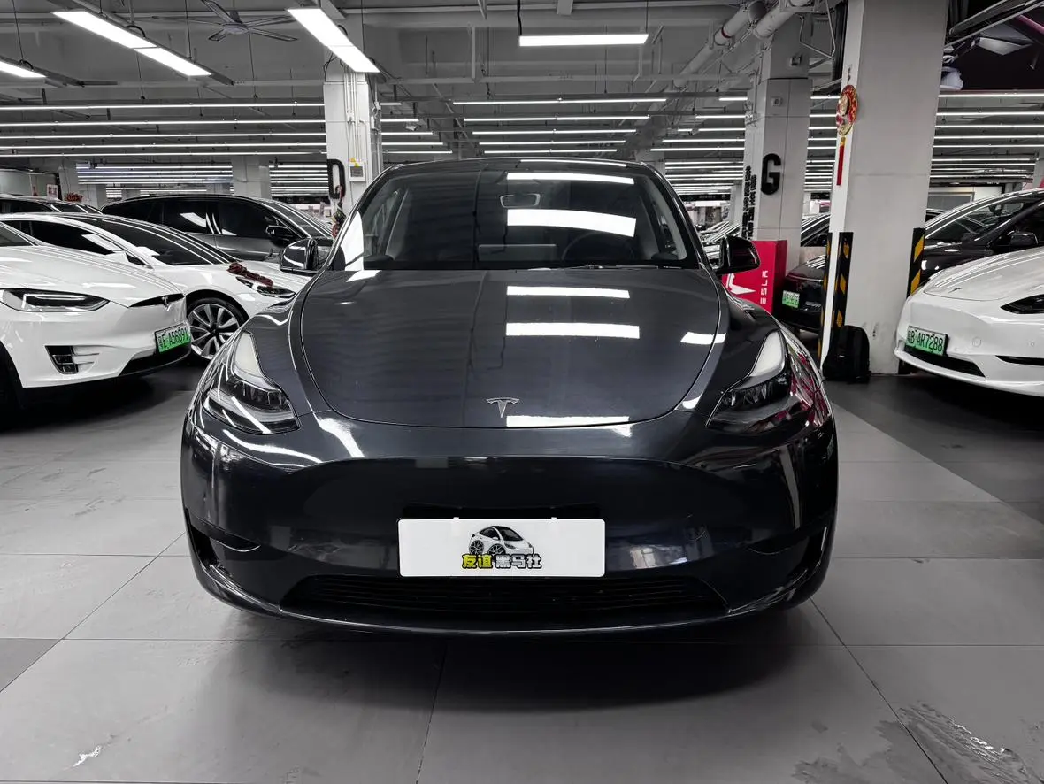 Tesla Model Y Rear-wheel drive version