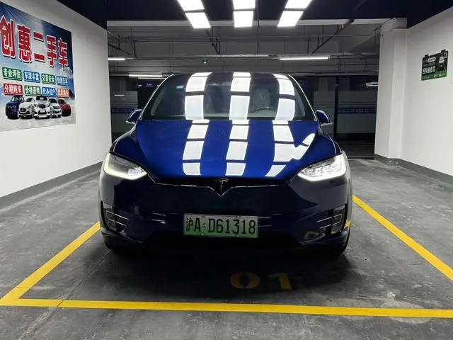 Tesla Model X 100D long battery life version