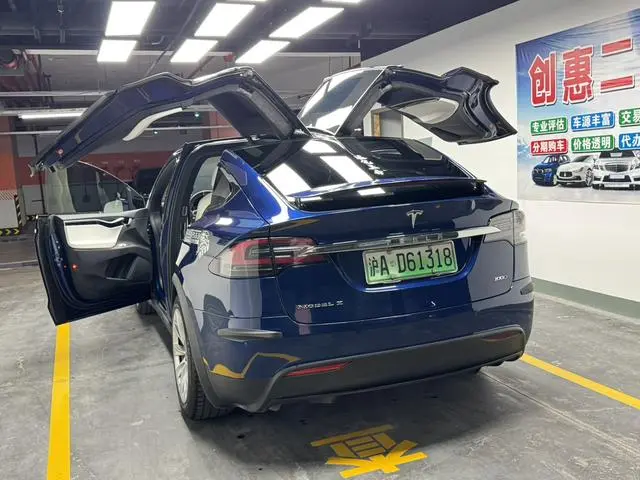Tesla Model X 100D long battery life version