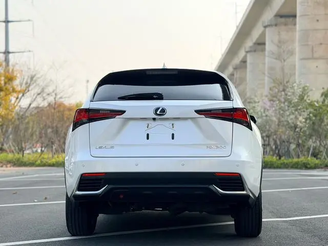 Lexus Lexus NX 200 front-drive front-running version of the country V