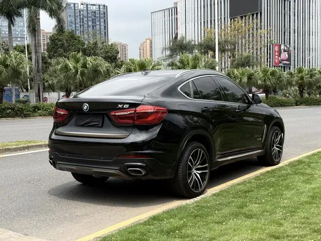 BMW BMW X6 xDrive35i Luxury