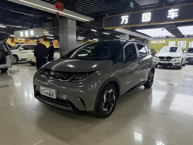 BYD dolphin Fashion edition