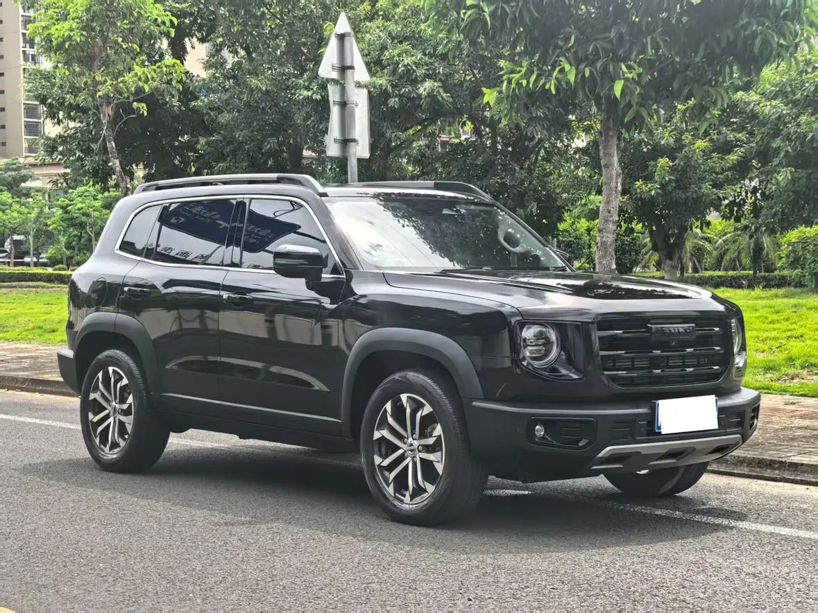 Haval Haval Big Dog 1.5T two-wheel drive horse and dog version