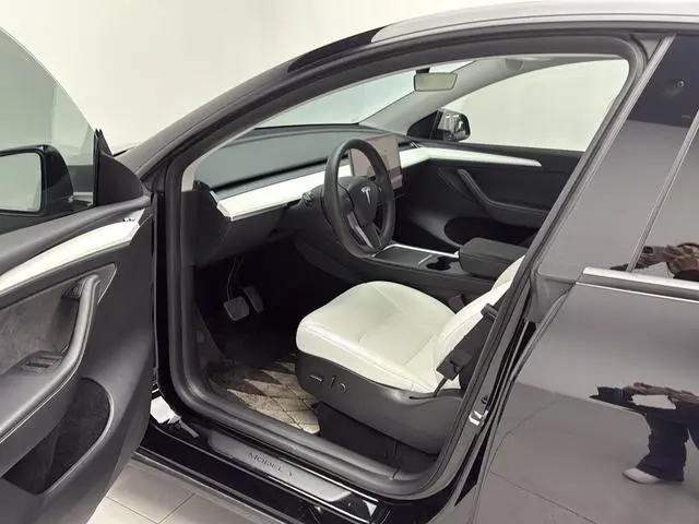 Tesla Model Y Performance high-performance all-wheel drive version