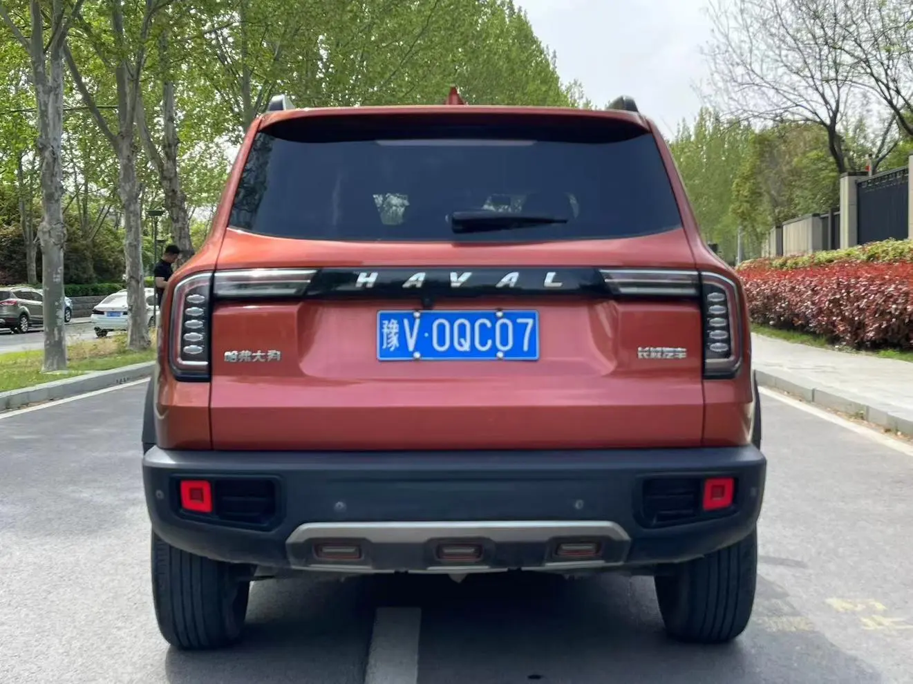 Haval Haval Big Dog 1.5T two-wheel drive horse dog-Wangcai Edition