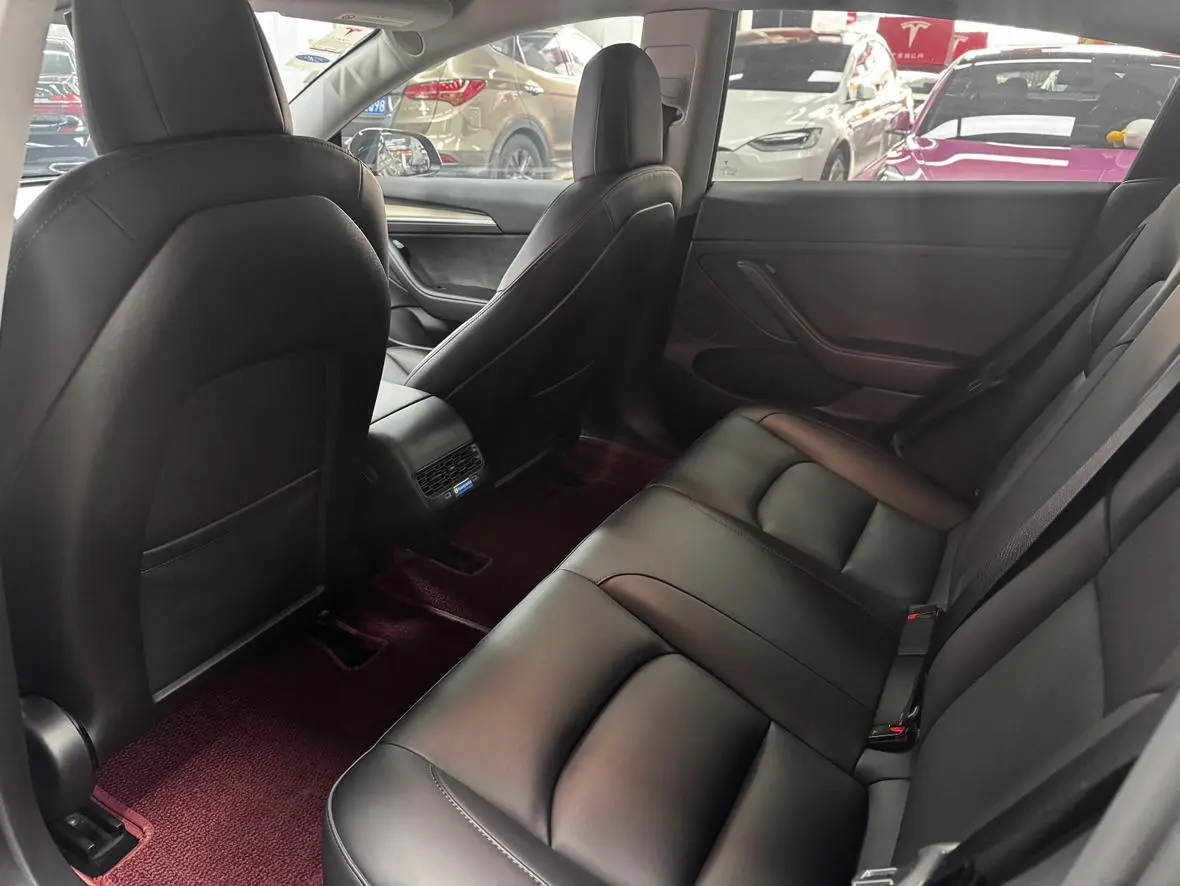 Tesla Model 3 Rear-wheel drive version