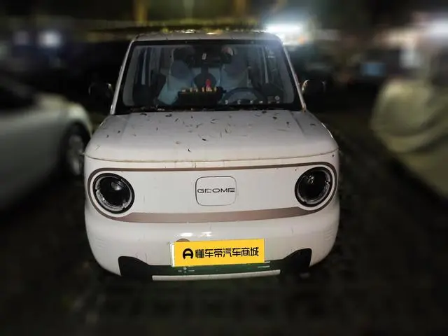 Geely Galaxy panda 200km panda mini endurance bear