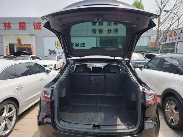 Tesla Model Y Rear-wheel drive version