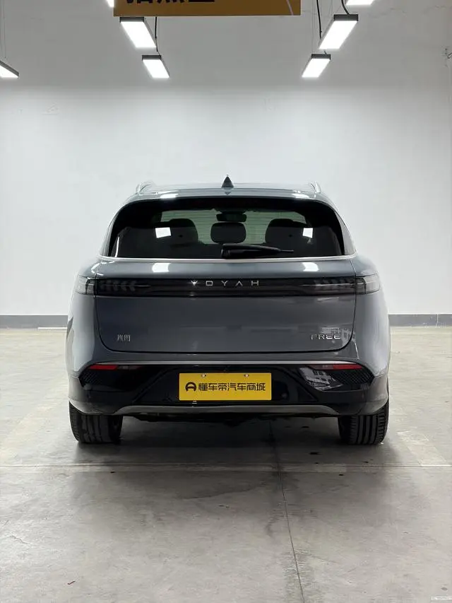 VOYAH Lan Tu FREE Four-wheel drive standard range extension exclusive luxury set
