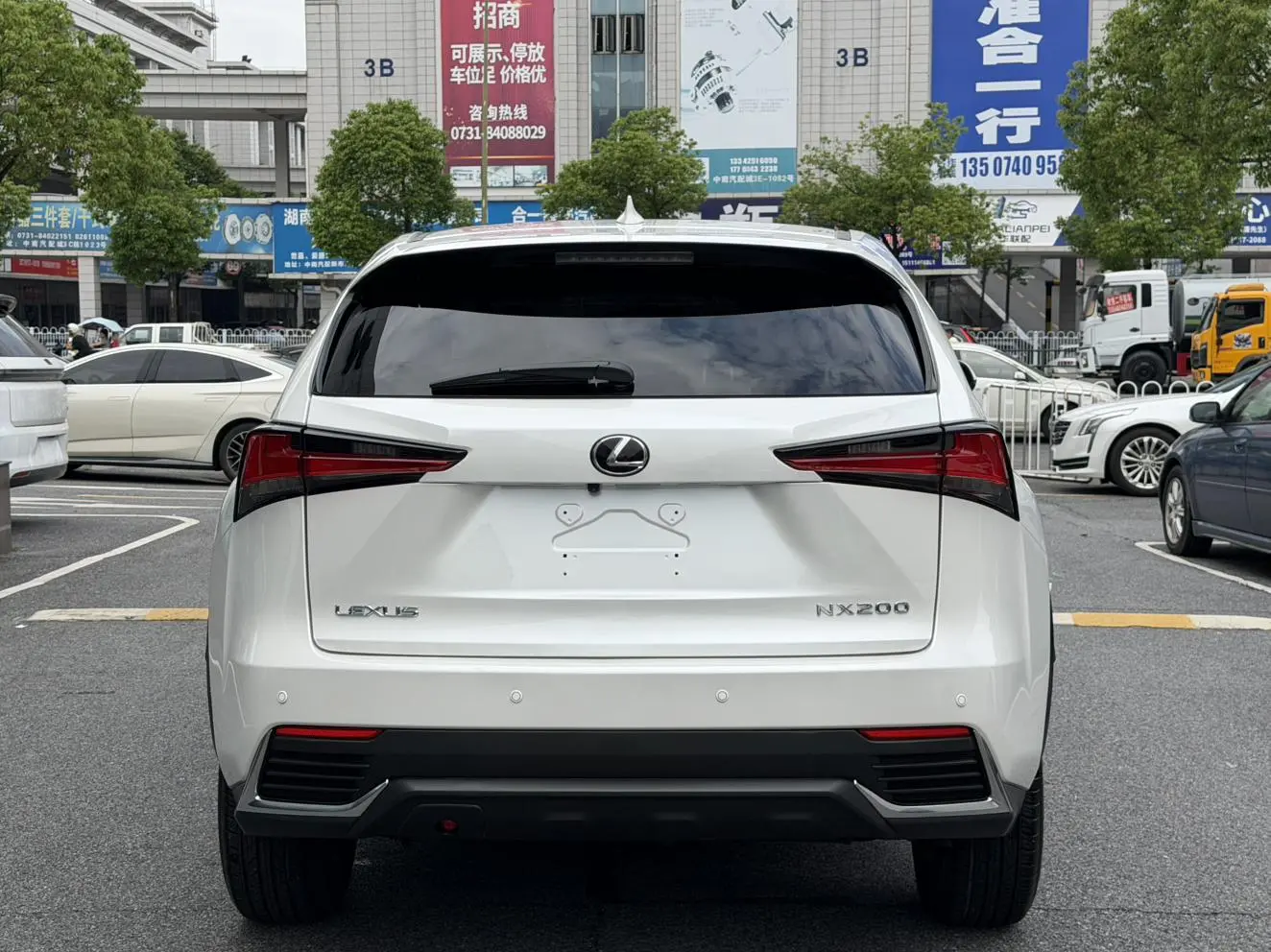 Lexus Lexus NX 200 front drive Fengyi Edition Country VI