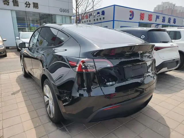 Tesla Model Y Rear-wheel drive version
