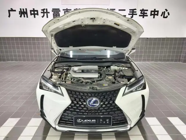 Lexus Lexus UX 260h Exploration*Cool Edition Country VI