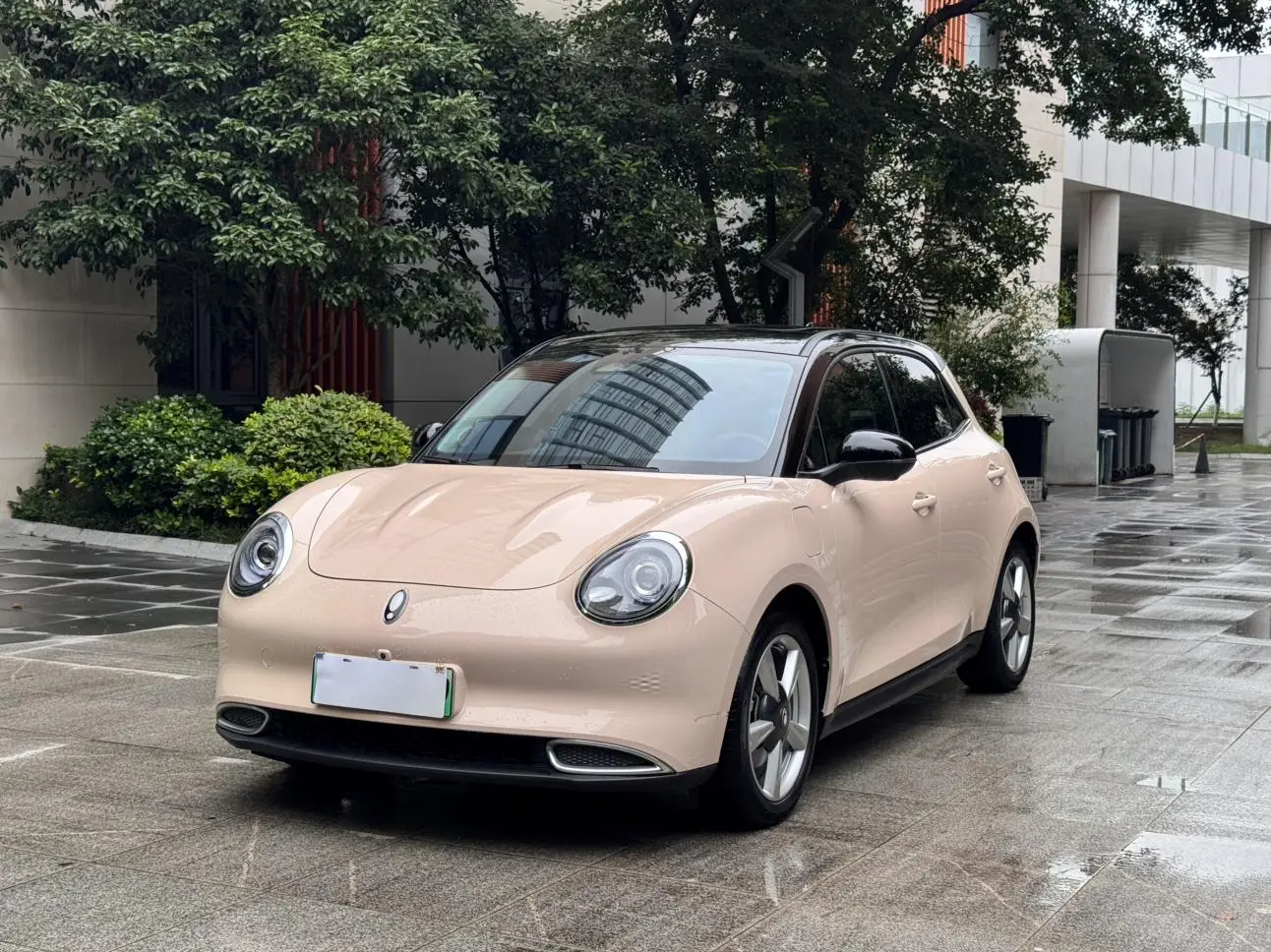 Ora Euler good cat 400km standard battery life Venus version lithium iron Phosphate battery