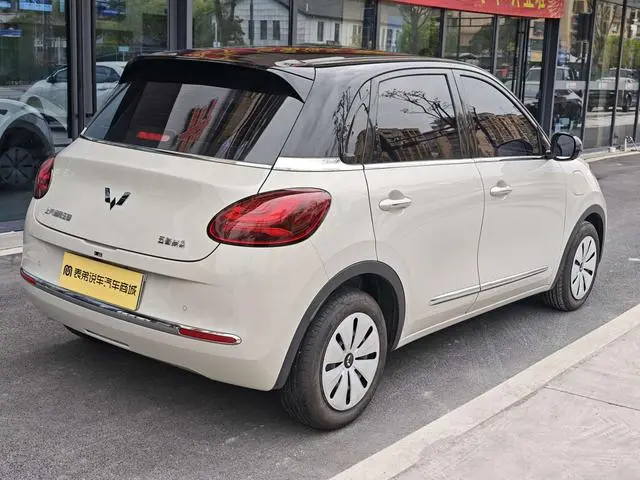 Wuling Wuling Bingguo 333KM Yuexiang model