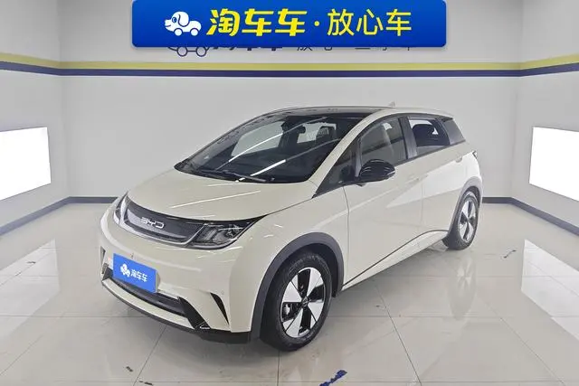 BYD dolphin Fashion edition