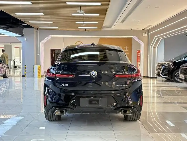 BMW BMW X4 xDrive 30i M sports suit
